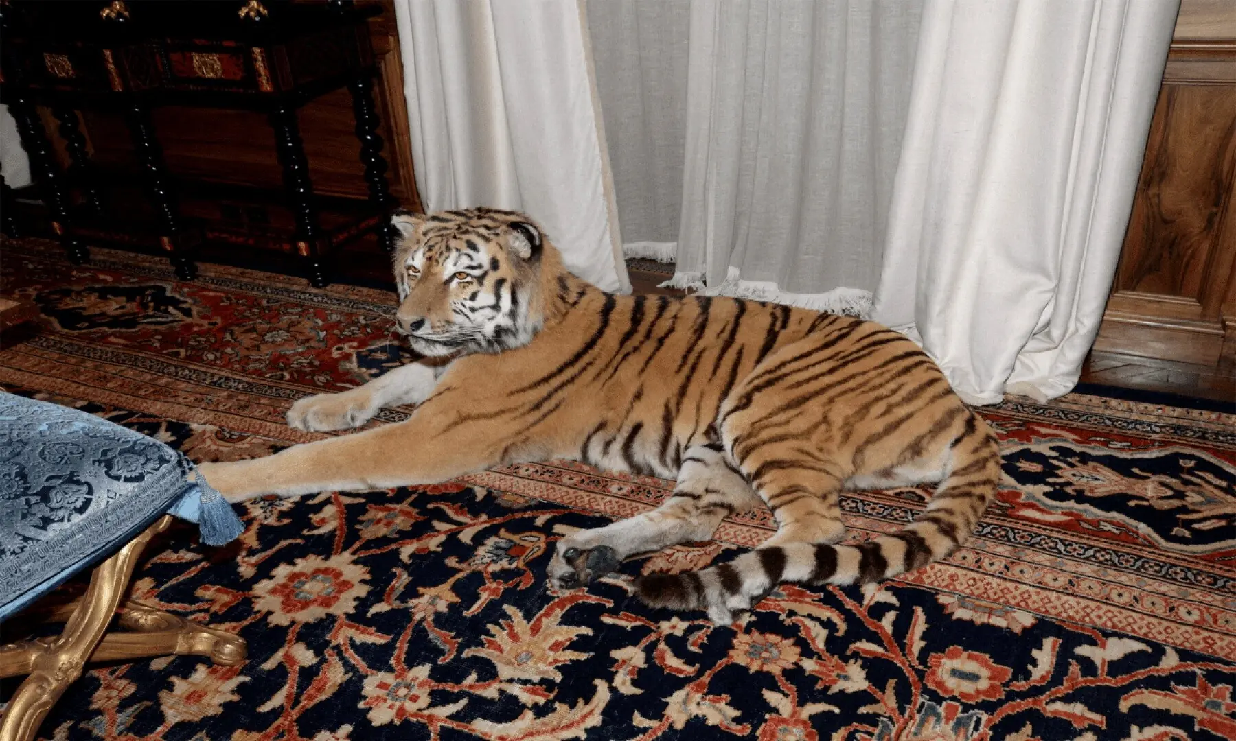 What appears to be a stuffed tiger is shown in Jeffrey Epstein&rsquo;s Manhattan home in this image released by the Department of Justice in Washington, DC, US, on December 19, 2025 as part of a new trove of documents from its investigations into the late financier and convicted sex offender Jeffrey Epstein. &mdash;Reuters