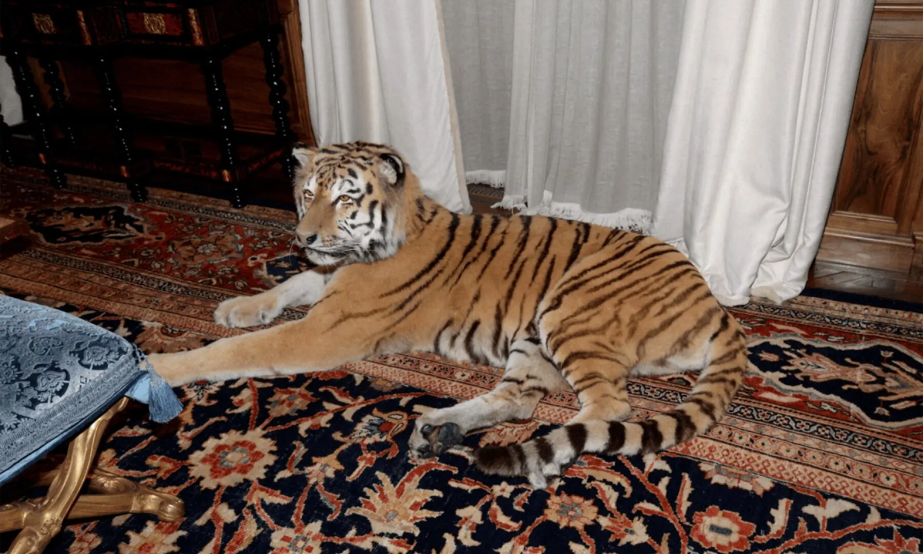 What appears to be a stuffed tiger is shown in Jeffrey Epstein&rsquo;s Manhattan home in this image released by the Department of Justice in Washington, DC, US, on December 19, 2025 as part of a new trove of documents from its investigations into the late financier and convicted sex offender Jeffrey Epstein. &mdash;Reuters
