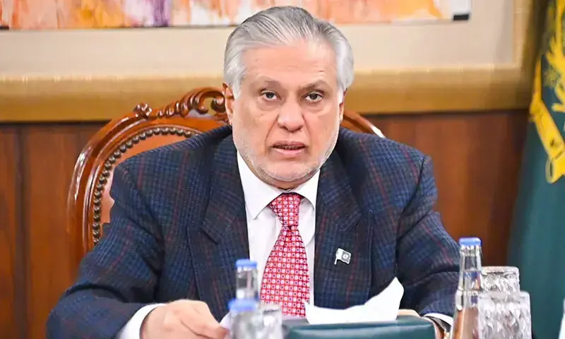 Deputy Prime Minister and Foreign Minister Ishaq Dar remotely addresses the Economic Cooperation Organisation&rsquo;s Council of Ministers on November 28, 2025. &mdash; X/@ForeignOfficePk/File
