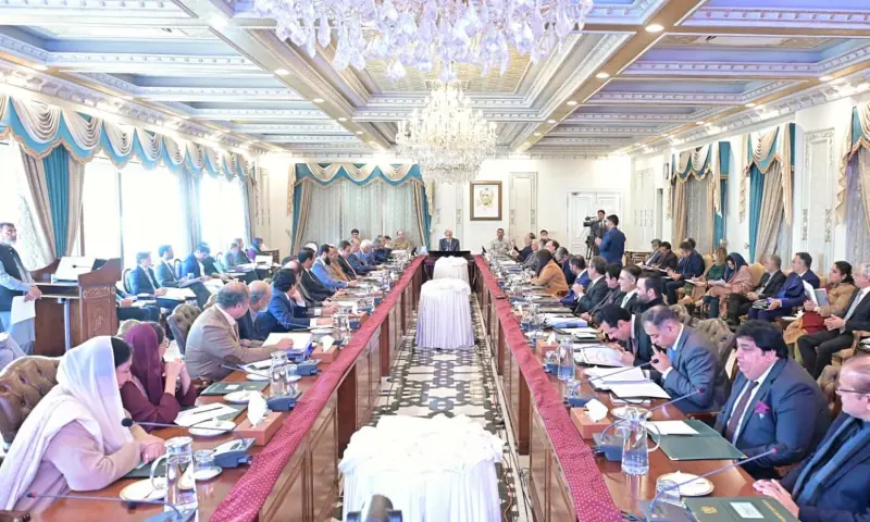 Prime Minister Shehbaz Sharif chairs a meeting of the Federal Cabinet in Islamabad on Dec 23. &mdash; PID