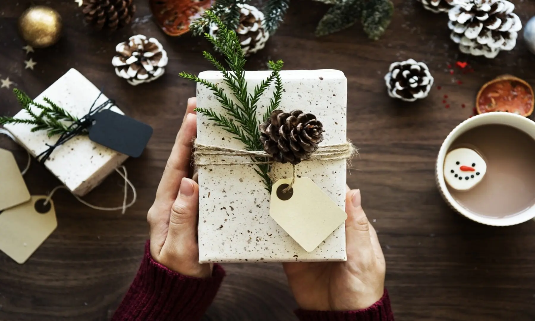 A person holding a gift. &mdash; Rawpixel/ Pixabay