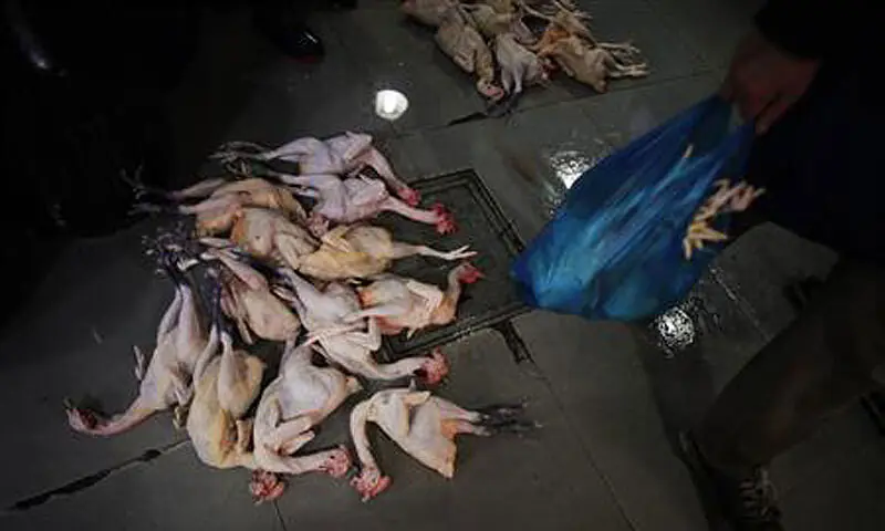 A group of skinned chicken that were hauled up by police from a restaurant in Islamabad. — Dawn/ File A group of skinned chicken that were hauled up by police from a restaurant in Islamabad. — Dawn/ File