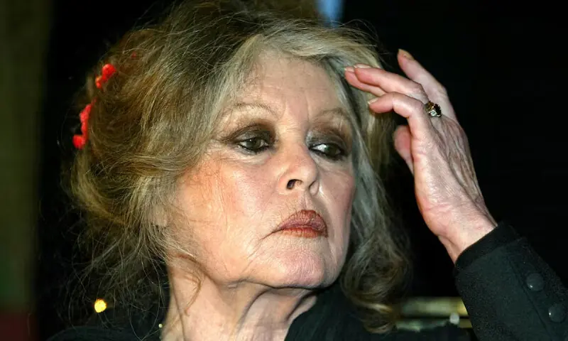 Former French actress and animal rights activist Brigitte Bardot attends a meeting on February 11, 2004. &mdash; Reuters