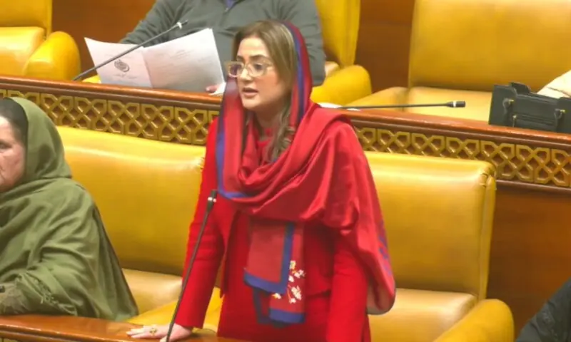 Punjab Information Minister Azma Bokhari speaks during an assembly session on December 30. &mdash; DawnNewsTV