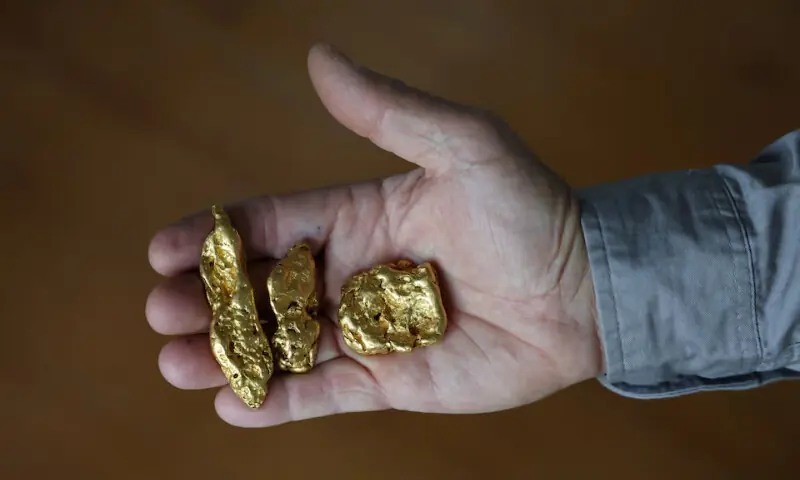 A shop worker poses holding three gold nuggets at The Gold Centre store, in Maryborough, Australia, November 28, 2025. — REUTERS A shop worker poses holding three gold nuggets at The Gold Centre store, in Maryborough, Australia, November 28, 2025. — REUTERS