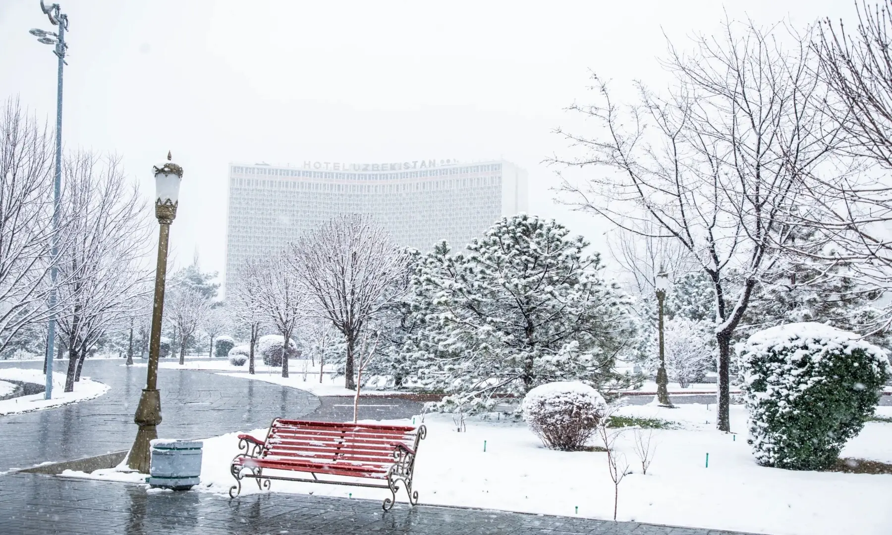 Tashkent itself is a city of wide boulevards and surprising greenery, even in the colder months. — Via The Star