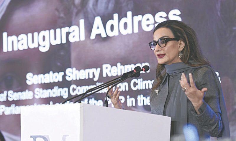 FORMER climate change minister Sherry Rehman makes a point during her speech. &mdash; White Star