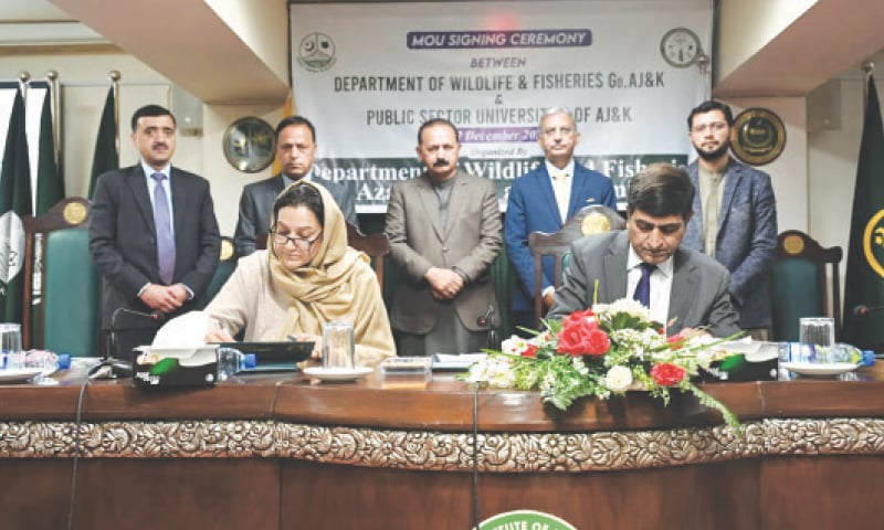 AJK&rsquo;s Secretary for Wildlife and Fisheries Amir Mahmood Mirza and chairperson of the zoology department at AJK University Dr Nuzhat Shafi sign an MoU on Tuesday to establish close relationship for academic and research cooperation in wildlife biology and conservation. AJK minister for wildlife Sardar Javed Ayoub and other officials stand in the background. &mdash; Dawn