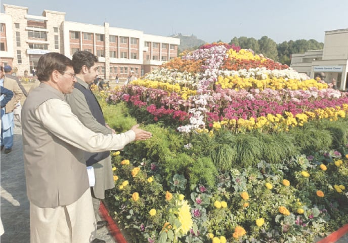 Visitors at a chrysanthemum flower show during the annual event. — Dawn