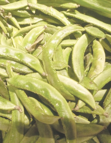 Ghulam Ali selling fava beans at a roadside stall in Lyari’s Kalakot area and (right) fresh fava beans