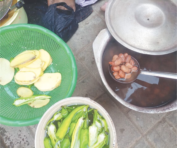 Freshly cooked fava beans | Photos by the writer