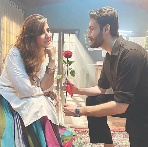Sanam (Hareem Farooq) and Fida (Affan Waheed)
