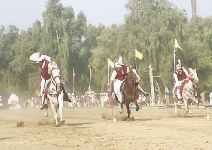 Riders streak down a sun-baked track at breakneck speed, lances lowered with precision as they attempt to hook and lift a tiny wooden peg half-buried in earth.