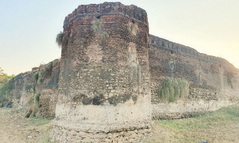 Remnants of the boundary walls and a post are covered with wild grass.