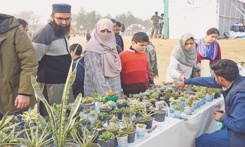 Visitors buy saplings from a stall during the National Olive Gala at F-9 Park in Islamabad on Sunday. — Online Visitors buy saplings from a stall during the National Olive Gala at F-9 Park in Islamabad on Sunday. — Online