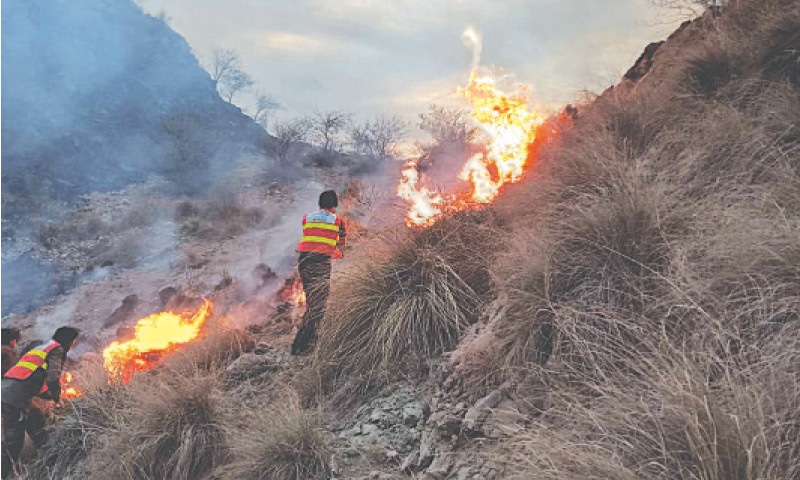 Rescue 1122 workers trying to extinguish a fire in mountainous Lakkanra area of Karak. &mdash; Photo by Ghulam Mursalin Marwat