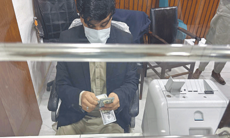 An employee at a currency exchange counts US dollar banknotes as purchase of these ‘newer’ greenbacks becomes even more difficult. — Photo by the writer An employee at a currency exchange counts US dollar banknotes as purchase of these ‘newer’ greenbacks becomes even more difficult. — Photo by the writer
