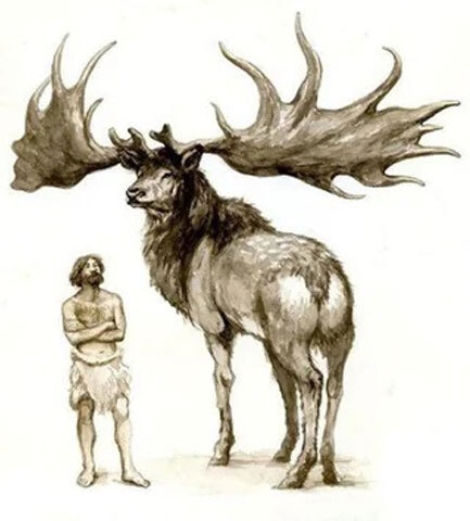 A 1928 painting of the Irish elk by Charles R. Knight | Field Museum of Natural History