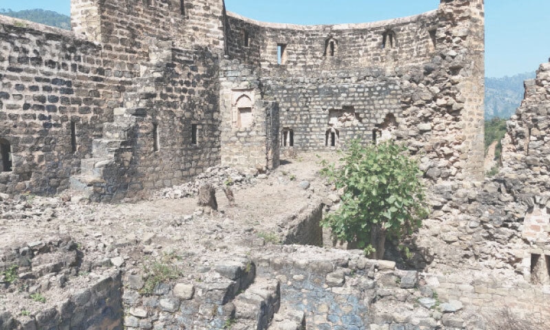  Restoration requires careful management of vegetation instead of cutting it that risks in walls collapsing. 