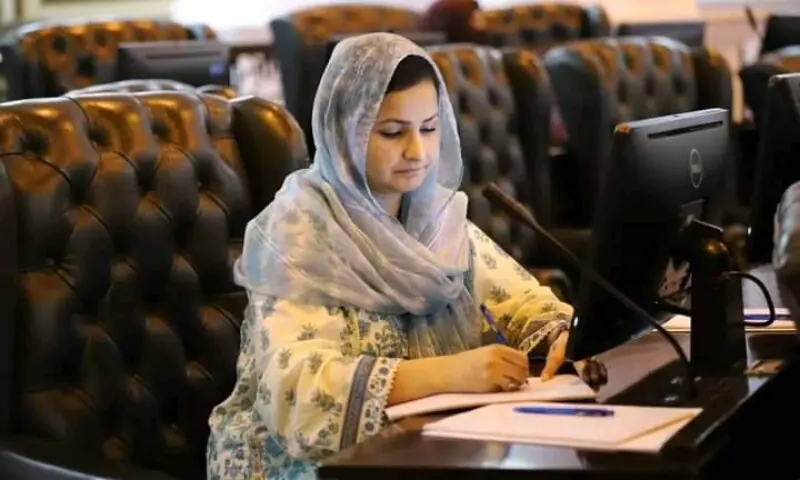 Pakistan Muslim League-Nawaz MPA Syeda Sonia Hussain. — Photo courtesy Facebook Pakistan Muslim League-Nawaz MPA Syeda Sonia Hussain. — Photo courtesy Facebook
