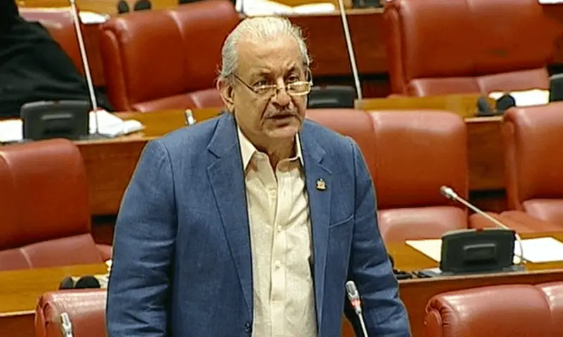 Senator Raza Rabbani addresses the Senate in this file photo from Oct 7, 2022. — DawnNewsTV/File Senator Raza Rabbani addresses the Senate in this file photo from Oct 7, 2022. — DawnNewsTV/File