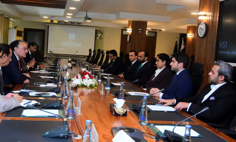 A high-level delegation, including Damac Group Co-Managing Director Amira Hussain Sajwani, meets with  Finance Minister Muhammad Aurangzeb on Jan 7, 2026. &mdash;X/Financegovpk