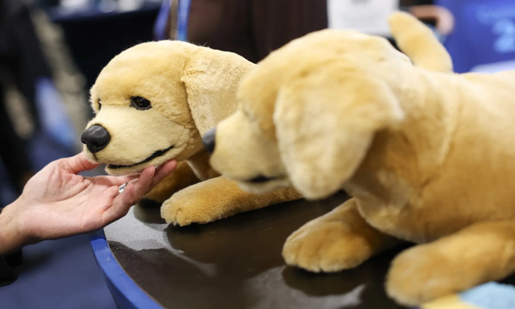 The Tombot Inc. hyper-realistic autonomous dog robot companion for the elderly and those unable to have a living pet dog is demonstrated during CES Unveiled ahead of the Consumer Electronics Show (CES) in Las Vegas, Nevada on January 4, 2026. &mdash; Patrick T. Fallon / AFP