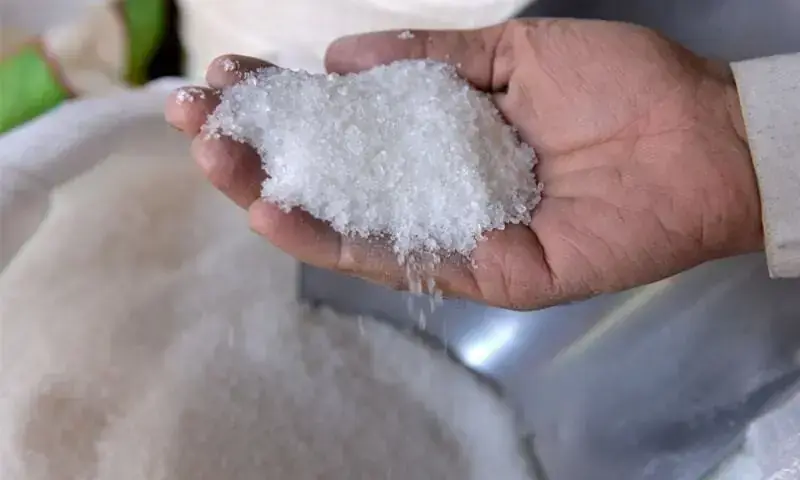 A man hold grains of sugar in his hand in this undated picture. — Dawn/File A man hold grains of sugar in his hand in this undated picture. — Dawn/File