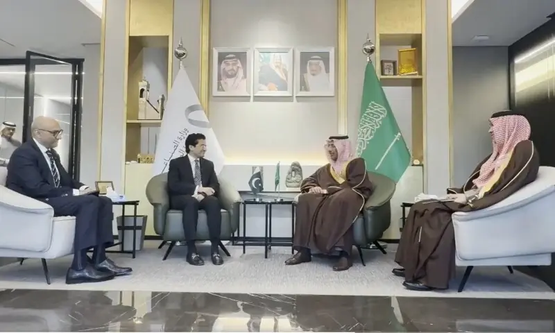 Minis&shy;ter for Petroleum Ali Pervaiz Malik in a meeting with Saudi Minister of Industry and Mineral Resources Bandar Ibrahim Al-Khorayef on January 13. &mdash; Photo via X/@Official_PetDiv