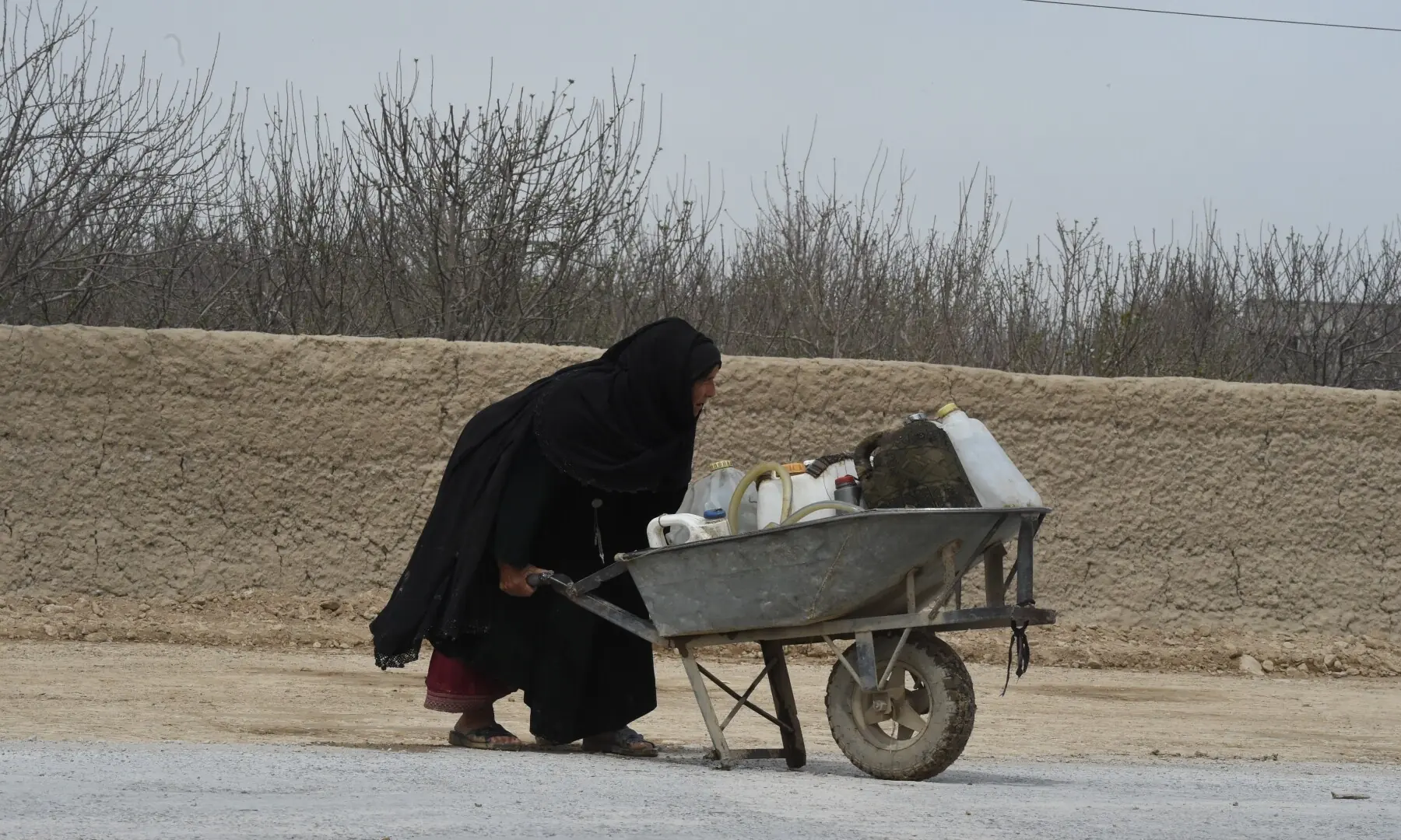 A woman in Quetta push wheelbarrows loaded with water bottles amid a severe water crisis. &mdash; Banaras Khan Yousafzai