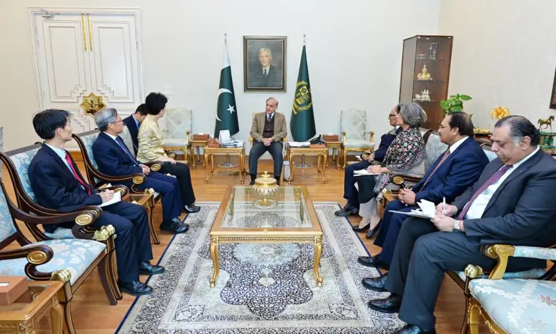 Vice Minister of IDCPC Sun Haiyan calls on Prime Minister Shehbaz Sharif at the PM House in Islamabad on January 15. &mdash; PID