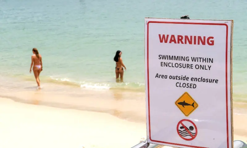 A warning sign is in place for swimmers following the recent shark attack at Sydney Harbour, Australia on January 19, 2026. — Reuters A warning sign is in place for swimmers following the recent shark attack at Sydney Harbour, Australia on January 19, 2026. — Reuters