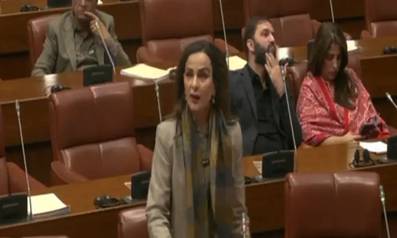 PPP Senator Sherry Rehman addresses the Senate on January 19. &mdash; Screengrab via YouTube/Senate of Pakistan