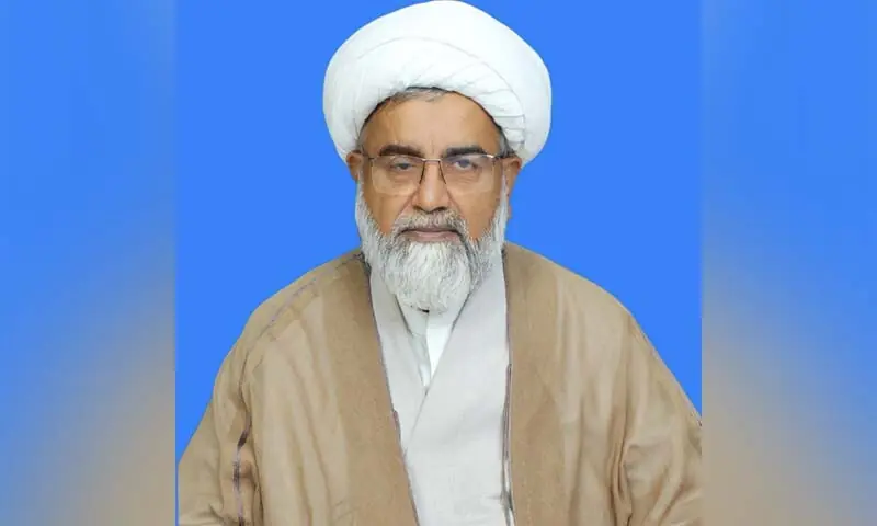 Majlis Wahdat-i-Muslimeen chief Allama Raja Nasir Abbas. &mdash; Photo courtesy Senate website