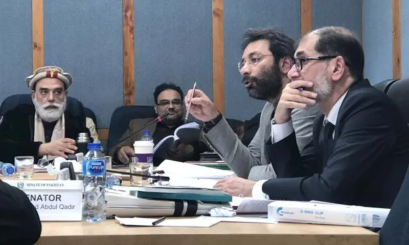 PTI Senator Faisal Saleem Rahman chairs a meeting of the Senate Standing Committee on Interior on January 20. &mdash; Photo via author