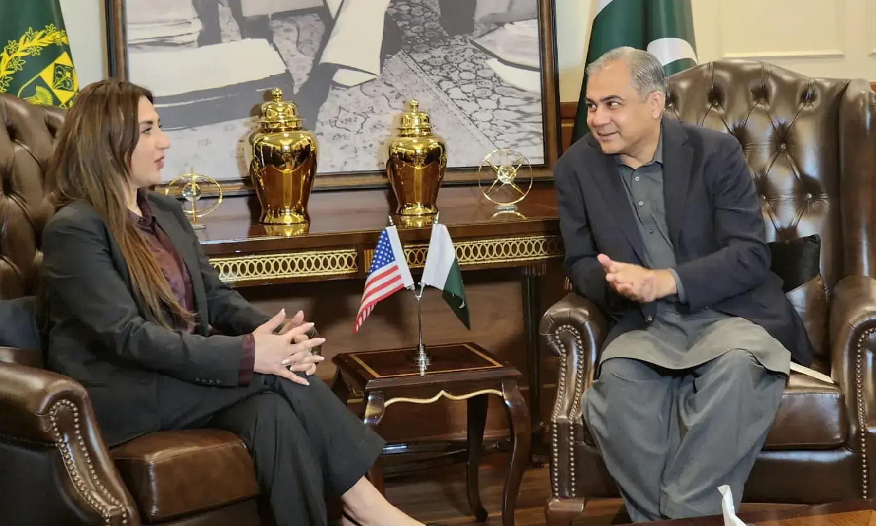 Interior Minister Mohsin Naqvi meets US envoy
Natalie Baker in Islamabad on Aug 29, 2025. &mdash; PID