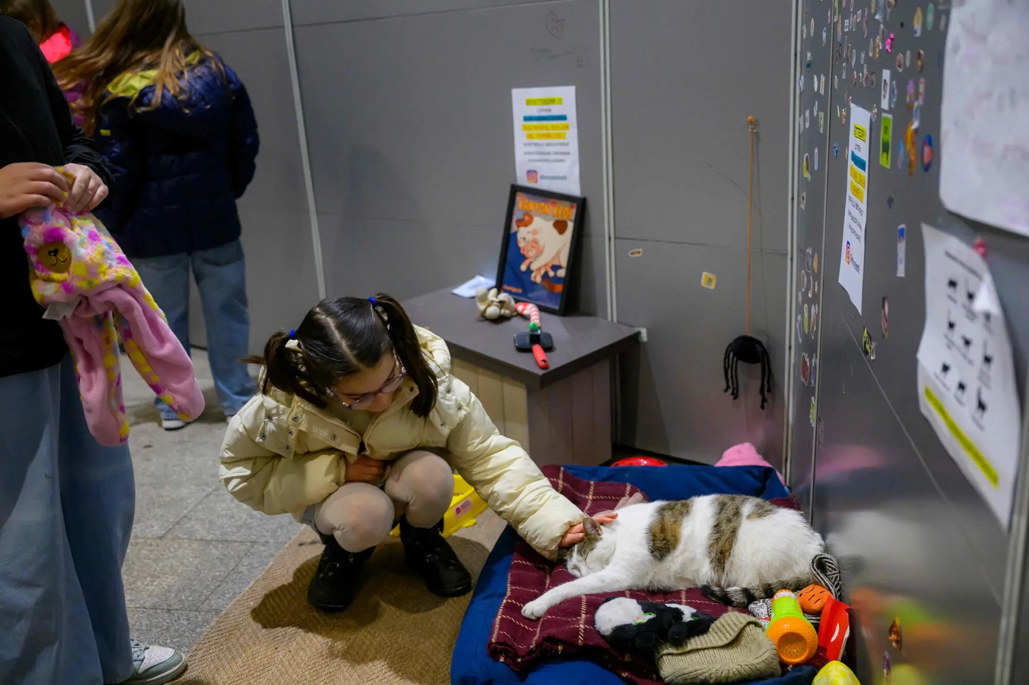 A young girl pets Kanyon, who remains unbothered by the disturbance. Photo: AFP