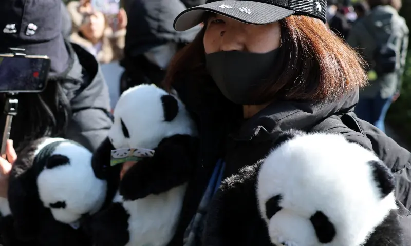 Panda fans gather to see off twin pandas Xiao Xiao and Lei Lei before a truck transporting them departs from Ueno Zoo for their planned return to China, in Tokyo, Japan, on Jan 27, 2026. &mdash; Reuters