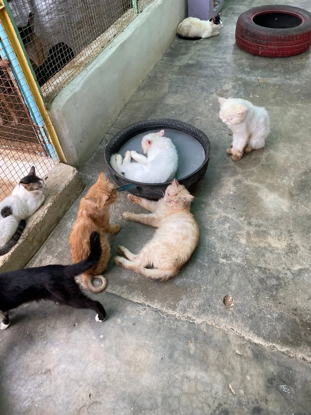  Photo: Aamna Iftikhar 