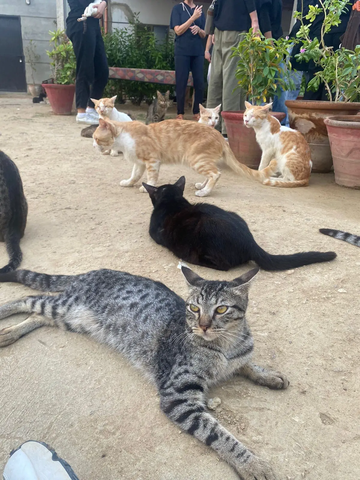  Photo: Aamna Iftikhar 