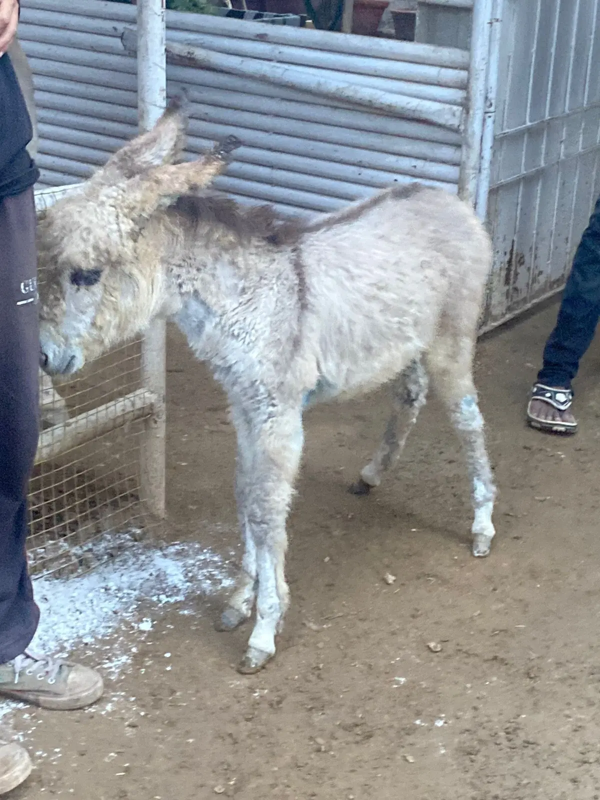  Photo: Aamna Iftikhar 