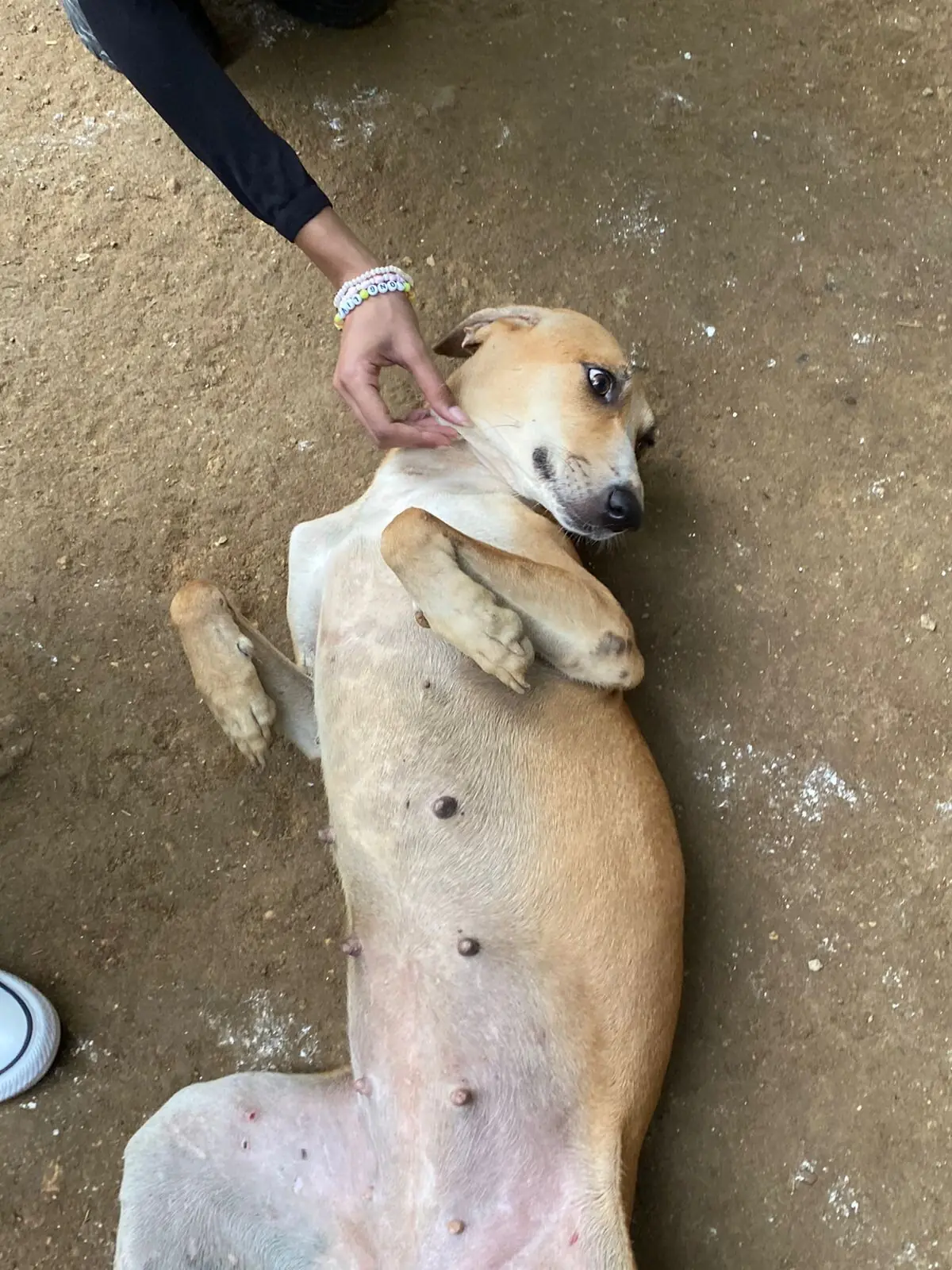  Photo: Aamna Iftikhar 