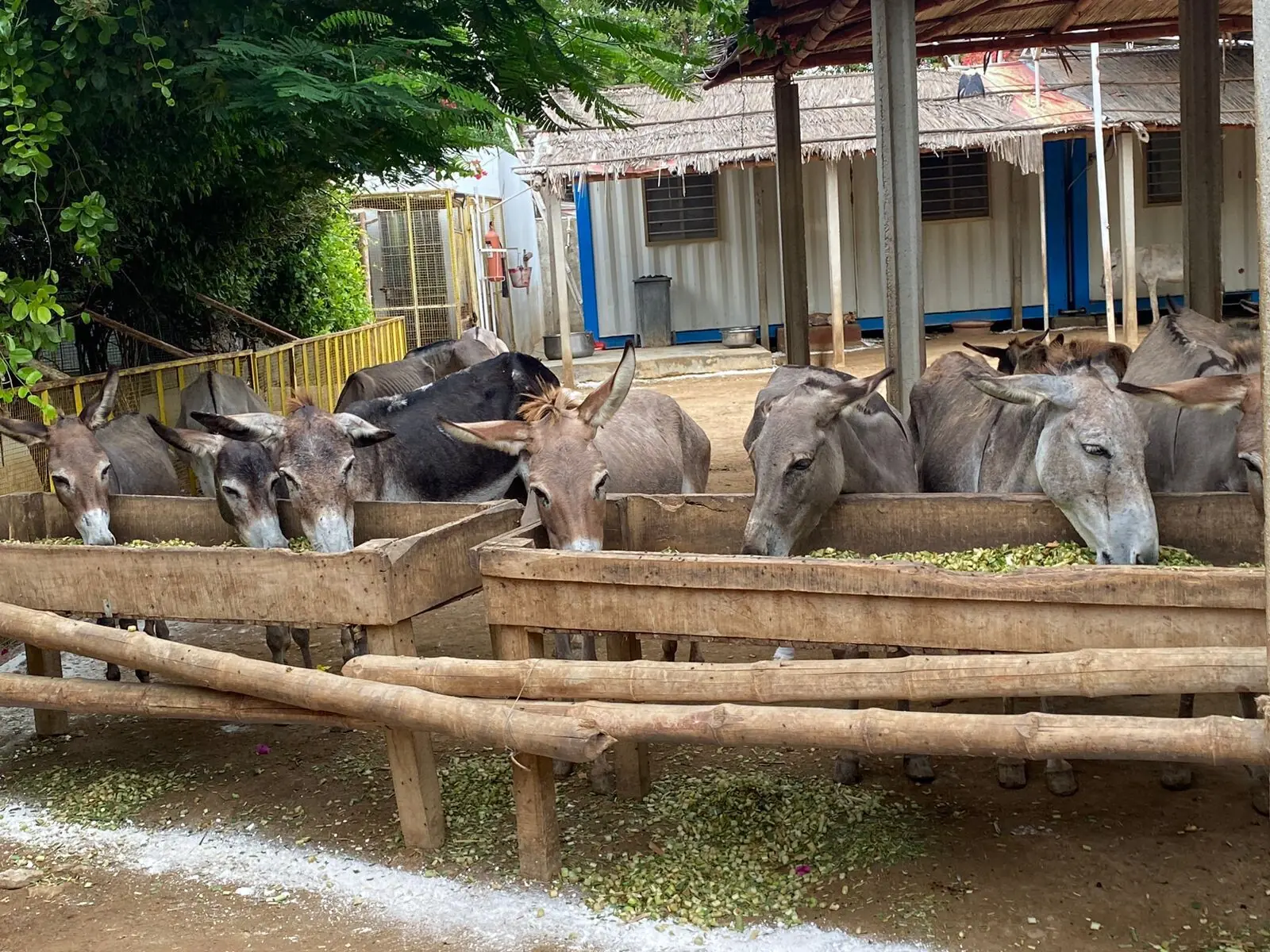  Photo: Aamna Iftikhar 