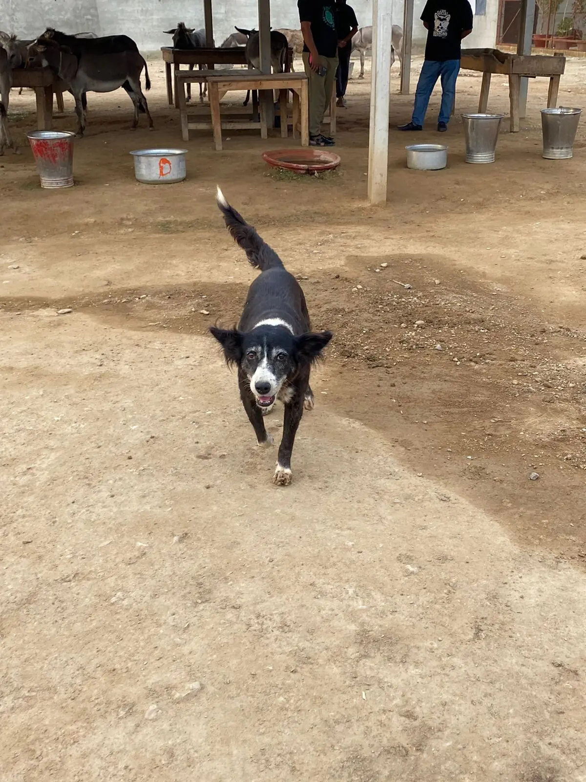  Photo: Aamna Iftikhar 