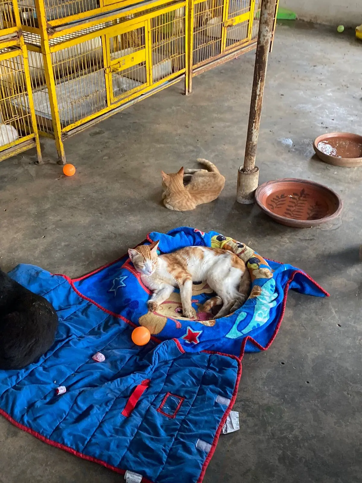  Photo: Aamna Iftikhar 