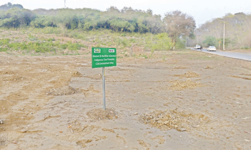 Trees have been removed from the Shakarparian area in Islamabad, turning patches into barren land. — Photo by Mohammad Asim Trees have been removed from the Shakarparian area in Islamabad, turning patches into barren land. — Photo by Mohammad Asim