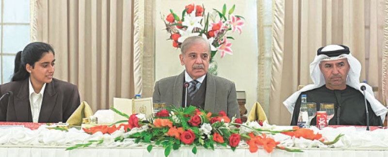  prime Minister Shehbaz Sharif meets a delegation of the UAE’s Sajwani Group on Friday.—PID 