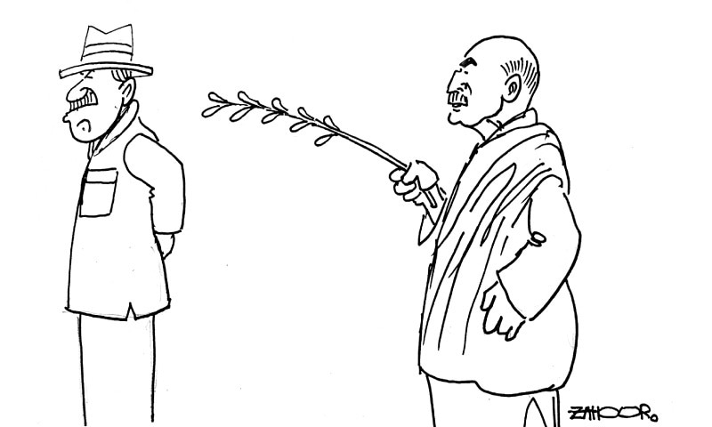 Zahoor's Cartoon