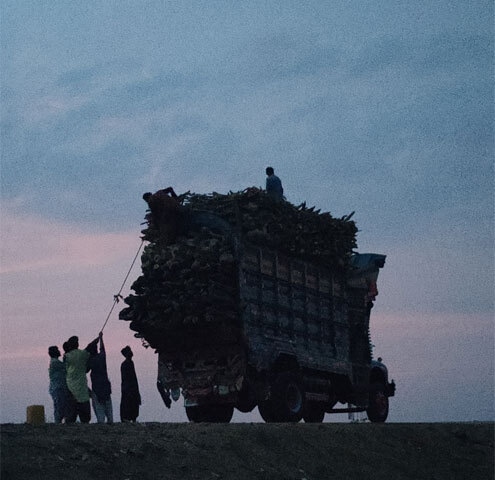  A truck, packed to the brim with timber, pictured at dusk: these operations continue through the night, despite the Sindh government announcing a ban on night-time transportation of timber and wood materials 