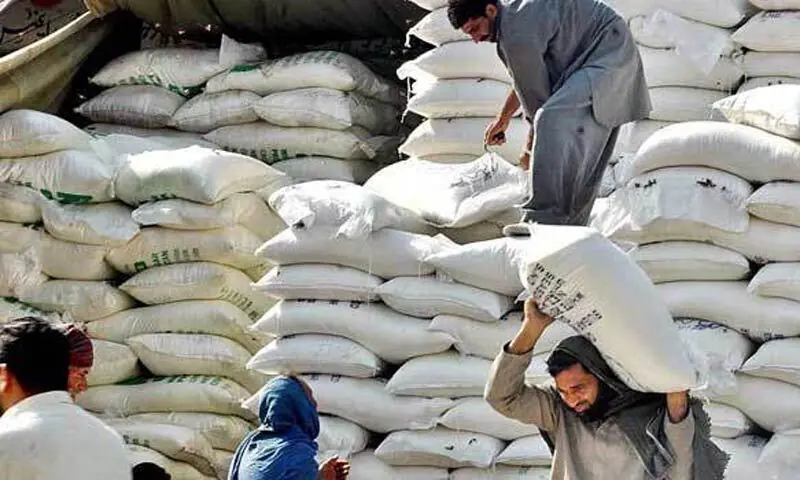 Workers unload wheat bags in this file photo. &mdash; APP/File